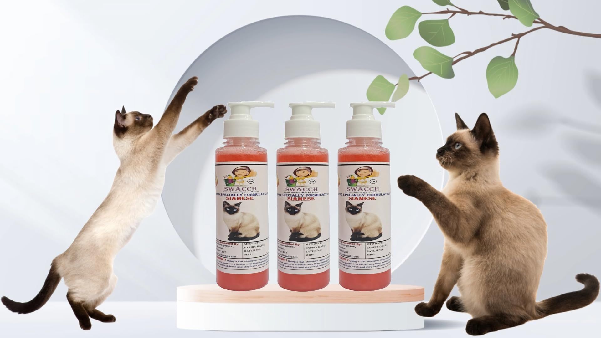 SWACCH Premium Shampoo for Siamese CAT (200ML) (Pack of 3) Strawberry