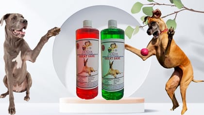 Swacch Shampoo Specially Formulated for Great DANE (1 Litre) (Combo Pack of 2) Jasmine & Neem Alovera