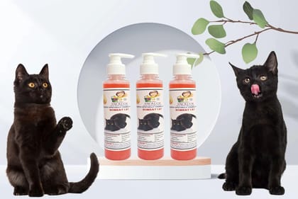 SWACCH Premium Shampoo for Bombay CAT (200ML) (Pack of 3) Strawberry