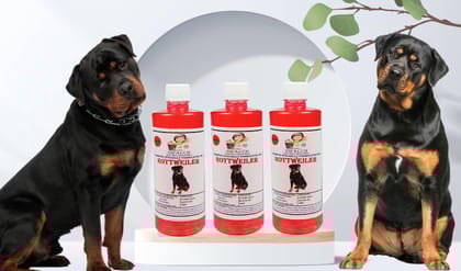 Swacch Shampoo Specially Formulated for Rottweiler (500ml) (Combo Pack of 3) Strawberry