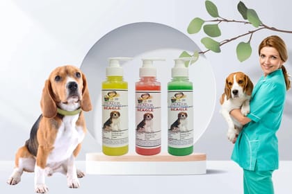SWACCH Premium Shampoo for Beagle (200ML)(Combo Pack of 3) Lemon, Jasmine & NEEM ALOVERA