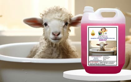 Swacch Shampoo Specially Formulated for Sheep (5 Litre) Rose