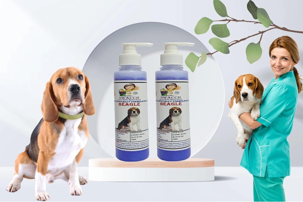 SWACCH Premium Shampoo for Beagle (200ML) (Pack of 2) Lavender