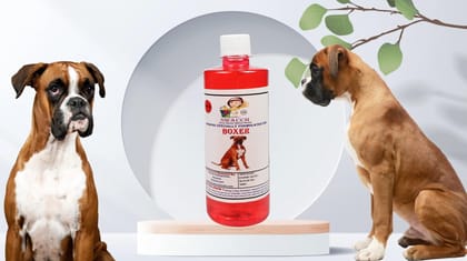 SWACCH Shampoo Specially FORMULATED for Boxer (500ML) Strawberry