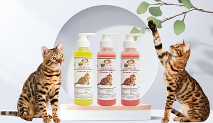 SWACCH Premium Shampoo for Bengal CAT (200ML) (Pack of 3) Lemon, Jasmine & Strawberry
