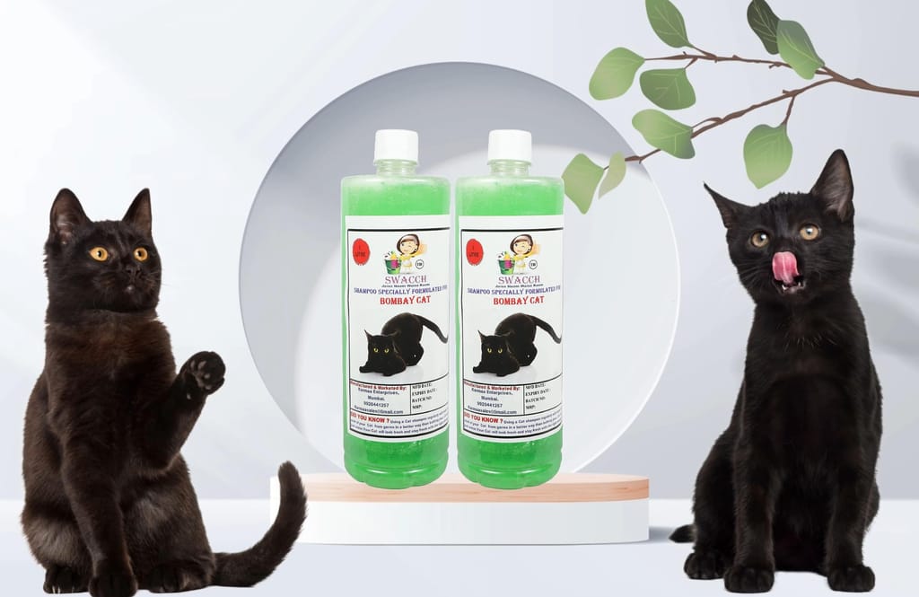 SWACCH Shampoo Specially Formulated for Bombay Cat (1 Litre) (Pack of 2) Neem Alovera