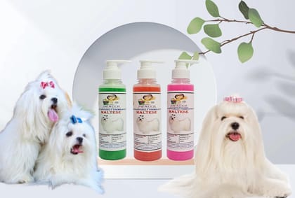 SWACCH Premium Shampoo for Maltese (200ML) (Combo Pack of 3) NEEM ALOVERA, Jasmine & Rose