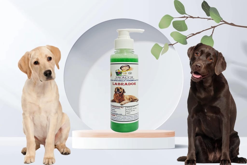 SWACCH Premium Shampoo for Labrador (200ML) NEEM ALOVERA