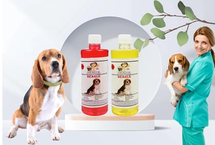 SWACCH Shampoo Specially FORMULATED for Beagle (500ML) (Combo Pack of 2) Strawberry & Lemon