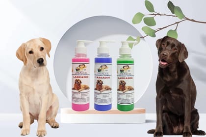 SWACCH Premium Shampoo for Labrador (200ML) (Combo Pack of 3) Rose, Lavender & NEEM ALOVERA