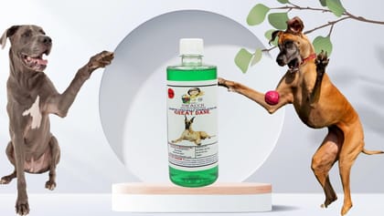Swacch Shampoo Specially Formulated for Great DANE (500ML) Neem Alovera