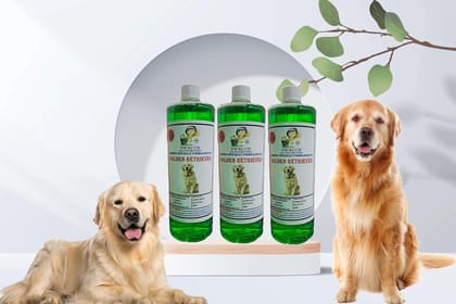SWACCH Shampoo Specially FORMULATED for Golden Retriever (1 Litre) (Combo Pack of 3) NEEM ALOVERA SWACCH Shampoo Specially FORMULATED for Golden Retriever (1 Litre) (Combo Pack of 3) NEEM ALOVERA