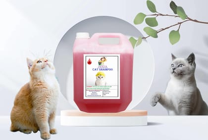 Swacch Cat Shampoo (10 Litre) Strawberry