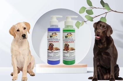 SWACCH Premium Shampoo for Labrador (200ML) (Pack of 2) Lavender & NEEM ALOVERA