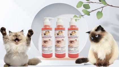 SWACCH Premium Shampoo for Himalayan CAT (200ML) (Pack of 3) Strawberry