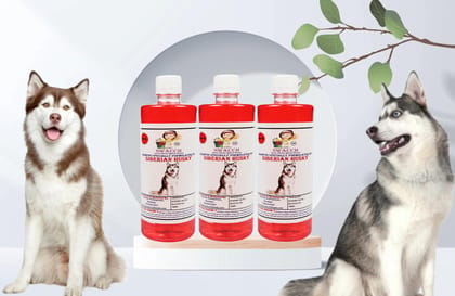 Swacch Shampoo Specially Formulated for Siberian Husky (500ml) (Combo Pack of 3) Jasmine
