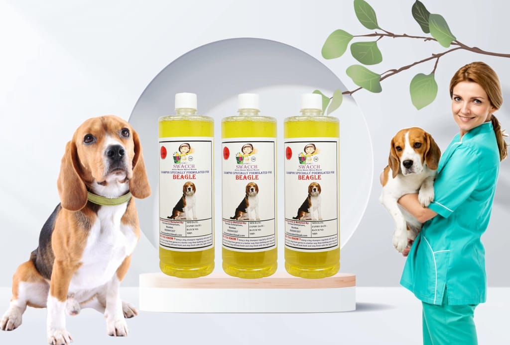 Swacch Shampoo Specially Formulated for Beagle (1 Litre) (Combo Pack of 3) Lemon