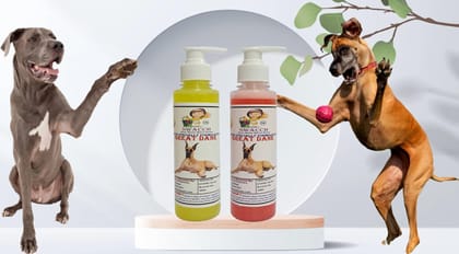 SWACCH Premium Shampoo for Great DANE (200ML)(Combo Pack of 2) Lemon & Jasmine SWACCH Premium Shampoo for Great DANE (200ML)(Combo Pack of 2) Lemon & Jasmine