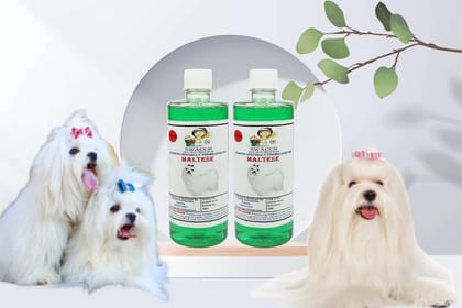 Swacch Shampoo Specially Formulated for Maltese (500ML) (Combo Pack of 2) Neem Alovera Swacch Shampoo Specially Formulated for Maltese (500ML) (Combo Pack of 2) Neem Alovera