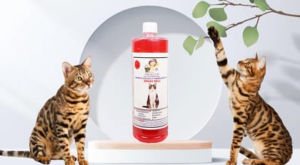 Swacch Shampoo Specially Formulated for Indian Billi (1 Litre) Jasmine