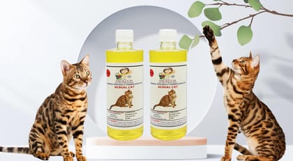 SWACCH Shampoo Specially FORMULATED for Bengal CAT (500ML) (Combo Pack of 2) Lemon