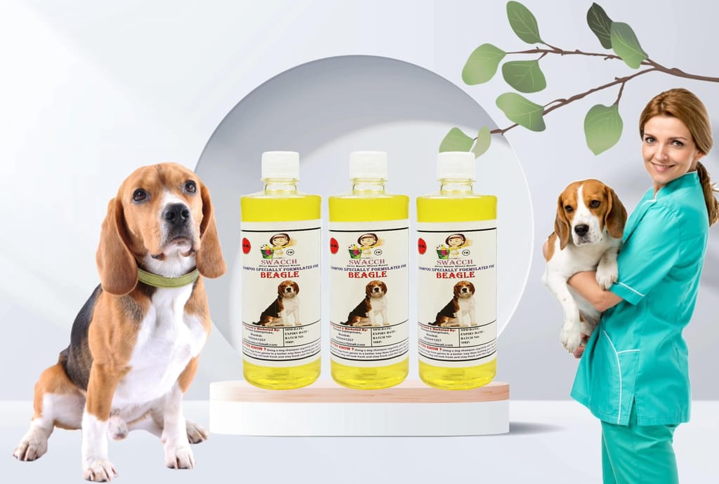 Swacch Shampoo Specially Formulated for Beagle (500ml) (Combo Pack of 3) Lemon