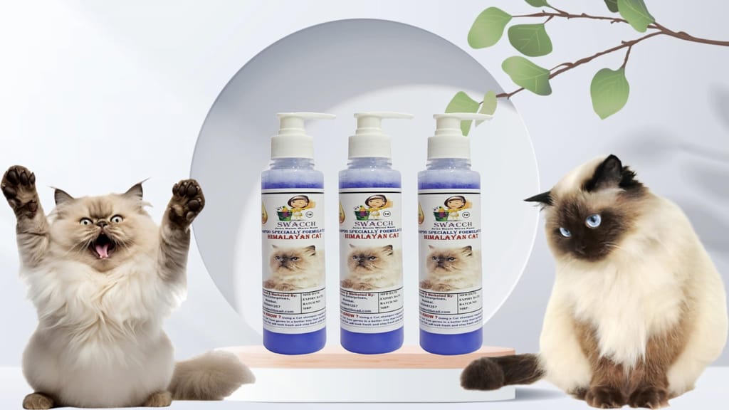 SWACCH Premium Shampoo for Himalayan CAT (200ML) (Pack of 3) Lavender