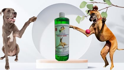 Swacch Shampoo Specially Formulated for Great DANE (1 Litre) Neem Alovera