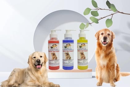 SWACCH Premium Shampoo for Golden Retriever (200ML) (Combo Pack of 3) Jasmine, Lavender & Lemon