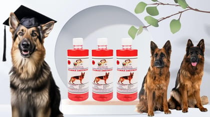 Swacch Shampoo Specially Formulated for German Shepherd (500ml) (Combo Pack of 3) Strawberry