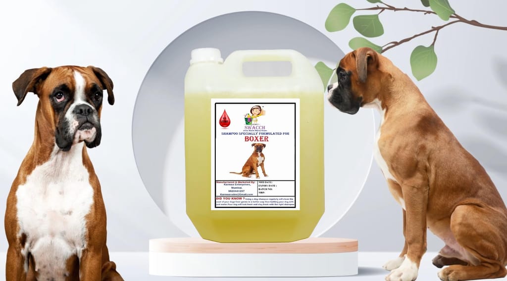 Swacch Shampoo Specially Formulated for Boxer (10 Litre) Lemon