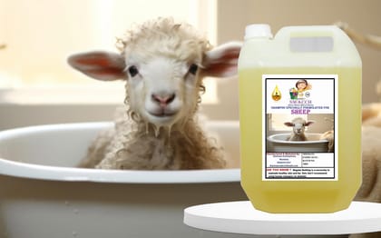 Swacch Shampoo Specially Formulated for Sheep (5 Litre) Lemon