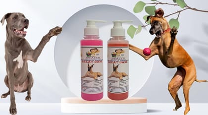 SWACCH Premium Shampoo for Great DANE (200ML)(Combo Pack of 2) Rose & Strawberry
