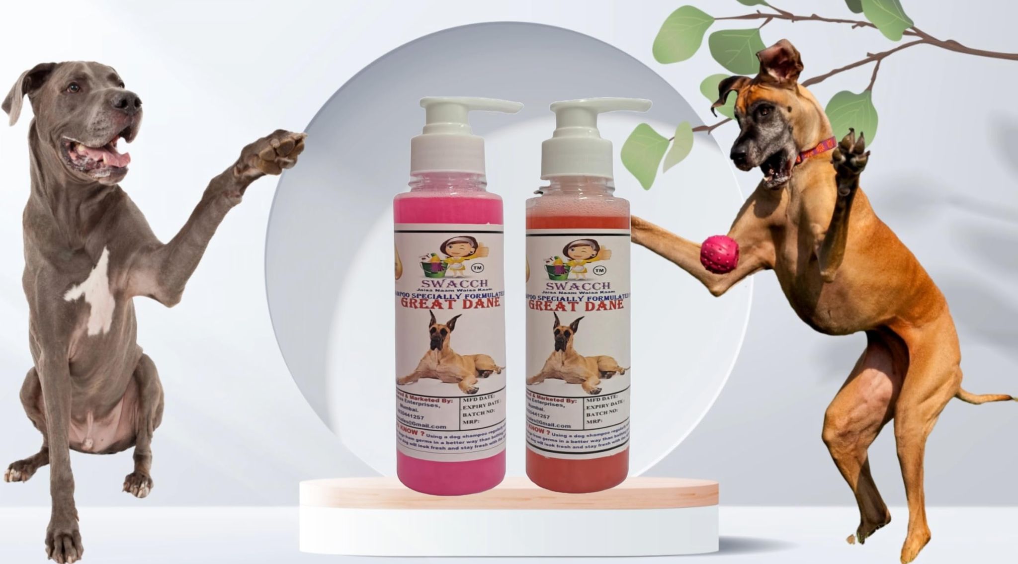 SWACCH Premium Shampoo for Great DANE (200ML)(Combo Pack of 2) Rose & Strawberry