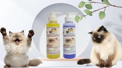 SWACCH Premium Shampoo for Himalayan CAT (200ML) (Pack of 2) Lemon & Lavender