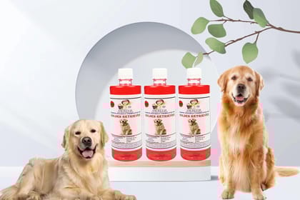 SWACCH Shampoo Specially FORMULATED for Golden Retriever (500ML) (Pack of 3) Strawberry