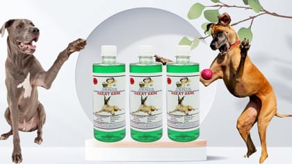Swacch Shampoo Specially Formulated for Great DANE (500ml) (Pack of 3) Neem Alovera