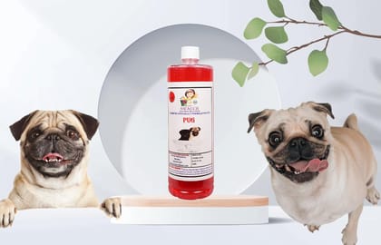 Swacch Shampoo Specially Formulated for Pug (1 Litre) Jasmine
