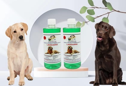 SWACCH Shampoo Specially FORMULATED for Labrador (500ML) (Pack of 2) NEEM ALOVERA