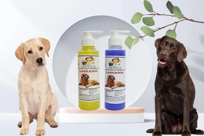 SWACCH Premium Shampoo for Labrador (200ML) (Combo Pack of 2) Lemon & Lavender