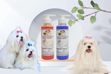 SWACCH Premium Shampoo for Maltese (200ML) (Combo Pack of 2) Jasmine & Lavender