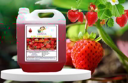 Swacch Air Freshner (10 Litre) Strawberry