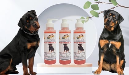 SWACCH Premium Shampoo for Rottweiler(200ML) (Pack of 3) Strawberry