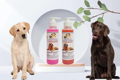 SWACCH Premium Shampoo for Labrador (200ML) (Combo Pack of 2) Rose & Strawberry