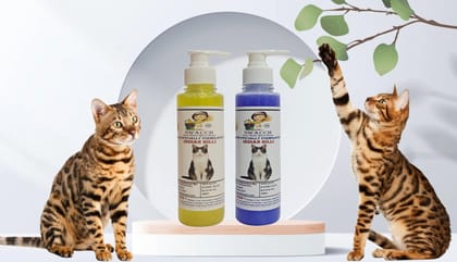 SWACCH Premium Shampoo for Indian Billi (200ML) (Combo Pack of 2) Lemon & Lavender