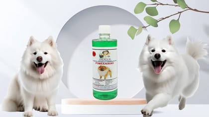 Swacch Shampoo Specially Formulated for Pomeranian (500ml) Neem Alovera Swacch Shampoo Specially Formulated for Pomeranian (500ml) Neem Alovera