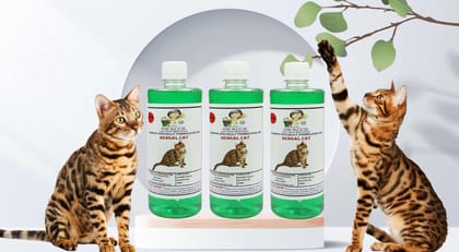SWACCH Shampoo Specially FORMULATED for Bengal CAT (500ML) (Combo Pack of 3) NEEM ALOVERA