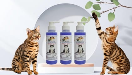 SWACCH Premium Shampoo for Indian Billi (200ML) (Pack of 3) Lavender SWACCH Premium Shampoo for Indian Billi (200ML) (Pack of 3) Lavender