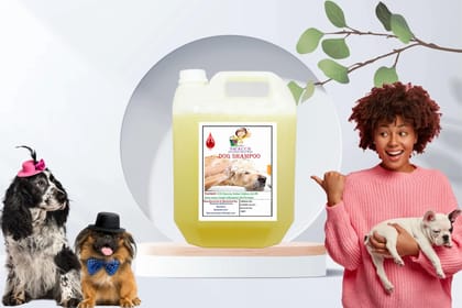 Swacch Dog Shampoo (10 Litre) Lemon Swacch Dog Shampoo (10 Litre) Lemon