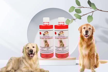 SWACCH Shampoo Specially FORMULATED for Golden Retriever (500ML) (Combo Pack of 2) Jasmine